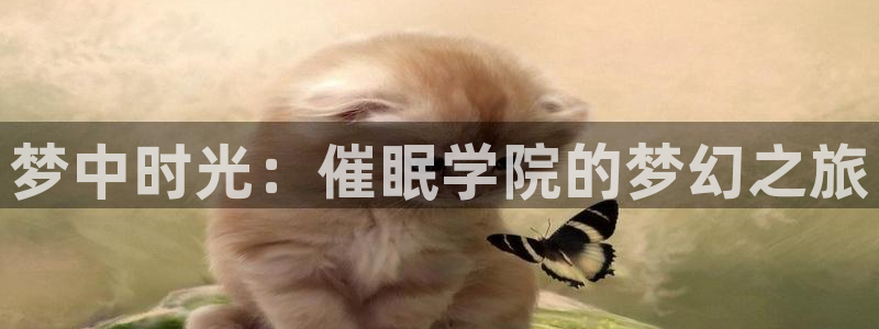 尾巴漫画歪歪：梦中时光：催眠学院的梦幻之旅